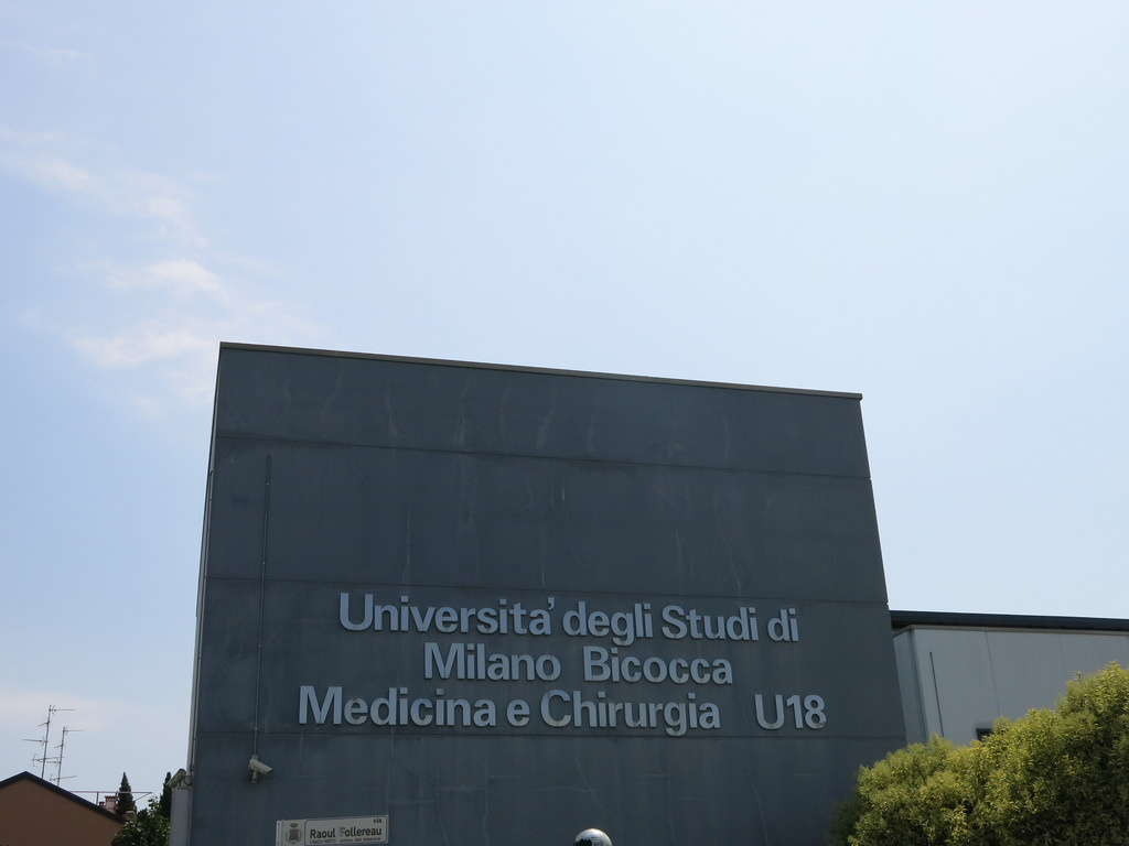 Immagine Università